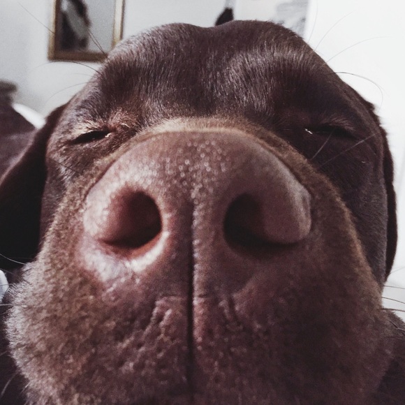 Meet your Posher, Beth - Picture 1 of 1